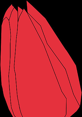 tulip2