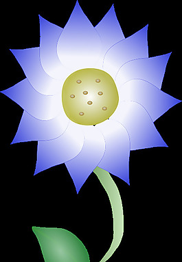 蓝色的花