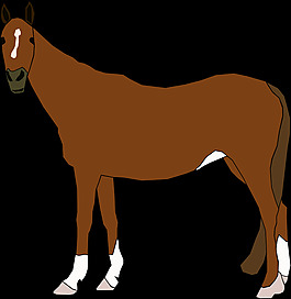 馬