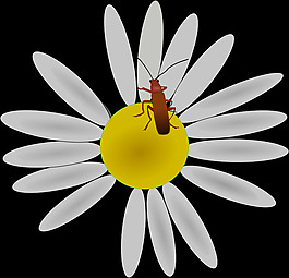 錯(cuò)誤的花