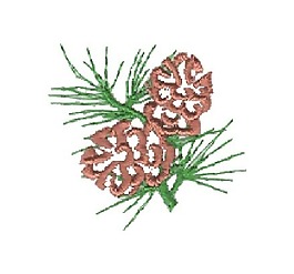 繡花 松球 松針 樹木 免費(fèi)素材