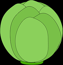 白菜