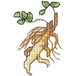 繡花 人參 黃色 棕色 綠色 免費素材