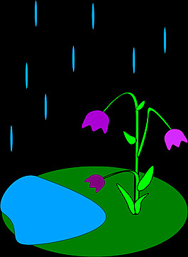 雨