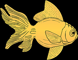 魚(yú)