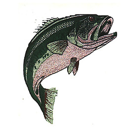 繡花 動(dòng)物 魚 色彩 綠色 免費(fèi)素材