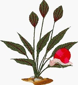繡花 動物 植物 草 色彩 免費素材