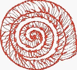 繡花 海螺 家紡 免費(fèi)素材
