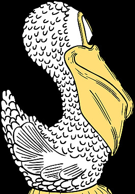 鵜鶘側(cè)視圖