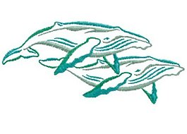 繡花 動物 色彩 綠色 鯨魚 免費(fèi)素材