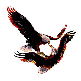 繡花 動(dòng)物 鳥(niǎo)類(lèi) 色彩 藍(lán)色 免費(fèi)素材