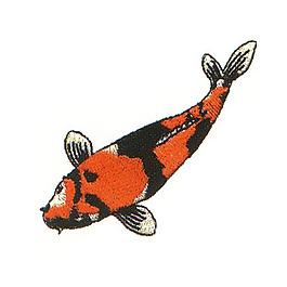 繡花 動(dòng)物 魚 花紋 色彩 免費(fèi)素材