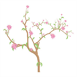 节的花枝