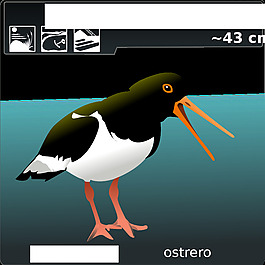 ostrero