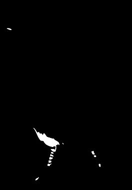 公雞