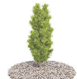 高精度樹木Tree 058