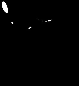 網(wǎng)球運動員