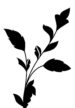 蓬勃發(fā)展的黑色形狀設(shè)計(jì)