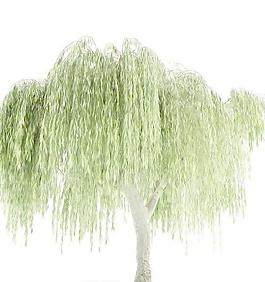 高精度樹木Tree 035