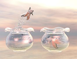 魚