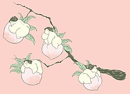 位圖 人物 女人 色彩 白色 免費(fèi)素材