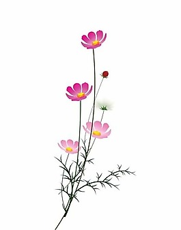 印花矢量圖 優(yōu)雅植物 花 毛衫印花 優(yōu)雅植物 免費素材