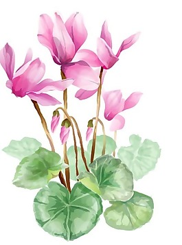 印花矢量圖 優(yōu)雅植物 荷花 色彩 紅色 免費(fèi)素材