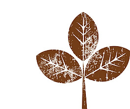 印花矢量图 优雅植物 三片叶 色彩 褐色 免费素材