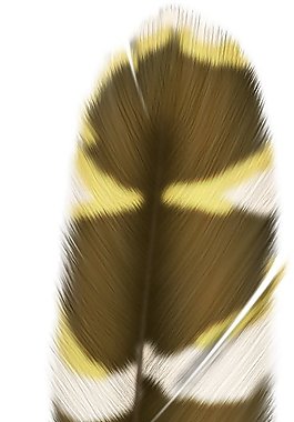 位圖 色彩 黃色 褐色 抽象 免費素材