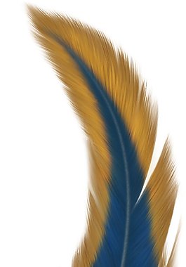 位圖 色彩 黃色 黑白色 綠色 免費(fèi)素材