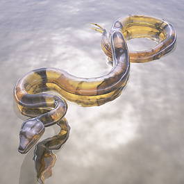 數(shù)字蛇可視化