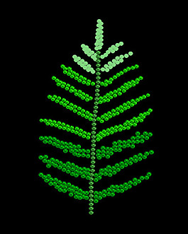 燙鉆 植物 樹 色彩 綠色 免費素材