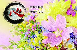 學(xué)校標(biāo)語(yǔ)圖片