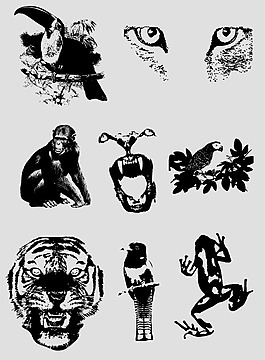 位圖 動(dòng)物 猩猩 老虎 青蛙 免費(fèi)素材