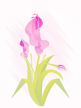 背景與孤立的花