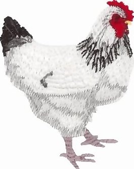 繡花 動物 雞 色彩 白色 免費素材