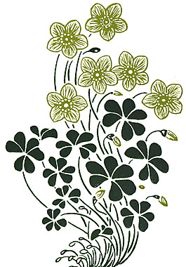 位圖 優(yōu)雅植物 花 徑 葉子 免費素材
