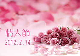 情人節(jié)七夕玫瑰花 花瓣
