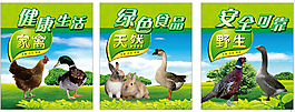 市场绿色家禽海报