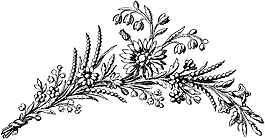 位圖 優(yōu)雅植物 花 草 黑白色 免費素材