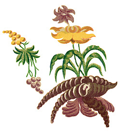 位圖 優(yōu)雅植物 花 草 黃色 免費(fèi)素材