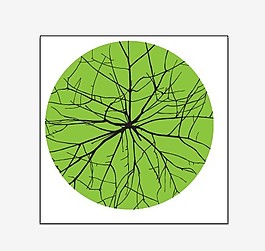 簡約時尚樹葉花紋設(shè)計矢量素材