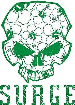 印花矢量圖 人物 徽章標記 抽象 花紋 免費素材
