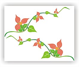 花藤