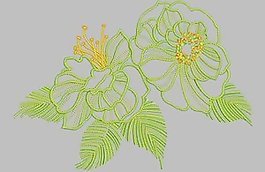 繡花 成熟優(yōu)雅女裝 植物 花 免費素材