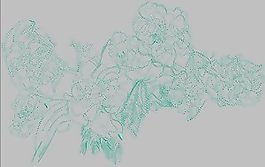 繡花 成熟優(yōu)雅女裝 植物 花 免費素材