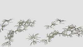 Hemlock 芹叶钩吻