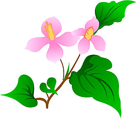 印花矢量圖 優(yōu)雅植物 花紋 色彩 綠色 免費素材