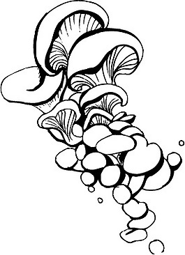 印花矢量圖 蔬菜 色彩 白色 黑色 免費(fèi)素材