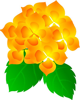 印花矢量圖 優(yōu)雅植物 花紋 色彩 綠色 免費素材